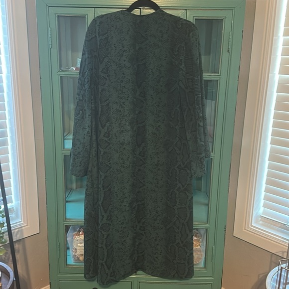 Buddy Love Snake Duster EUC - Picture 2 of 4